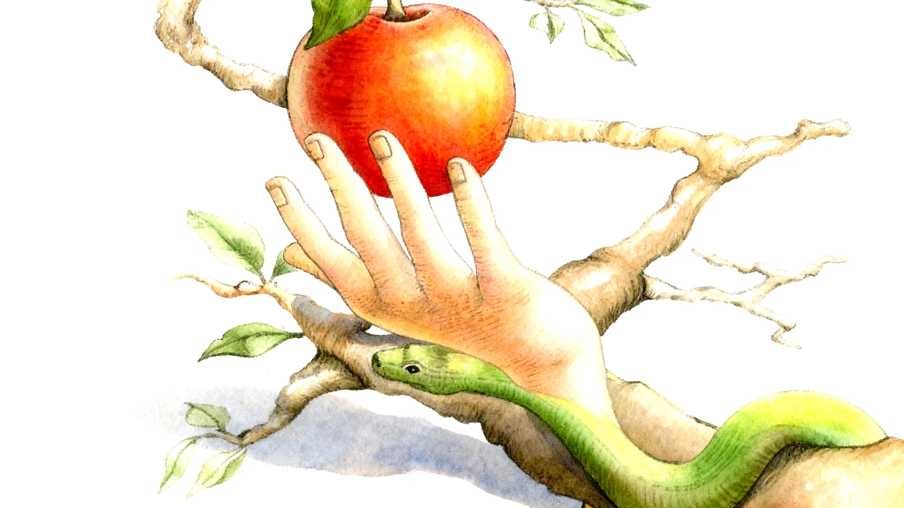 Forbidden Fruit2025-11-13T07:12:14.897Z"