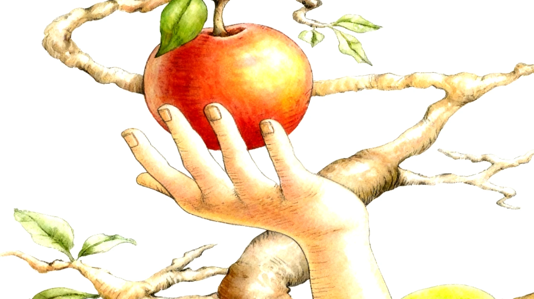 Forbidden Fruit2025-11-24T07:00:11.110Z"