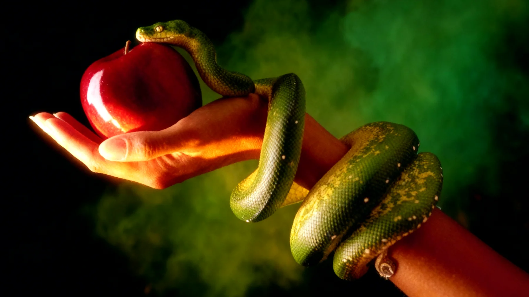 Forbidden Fruit2025-12-15T06:57:44.284Z"