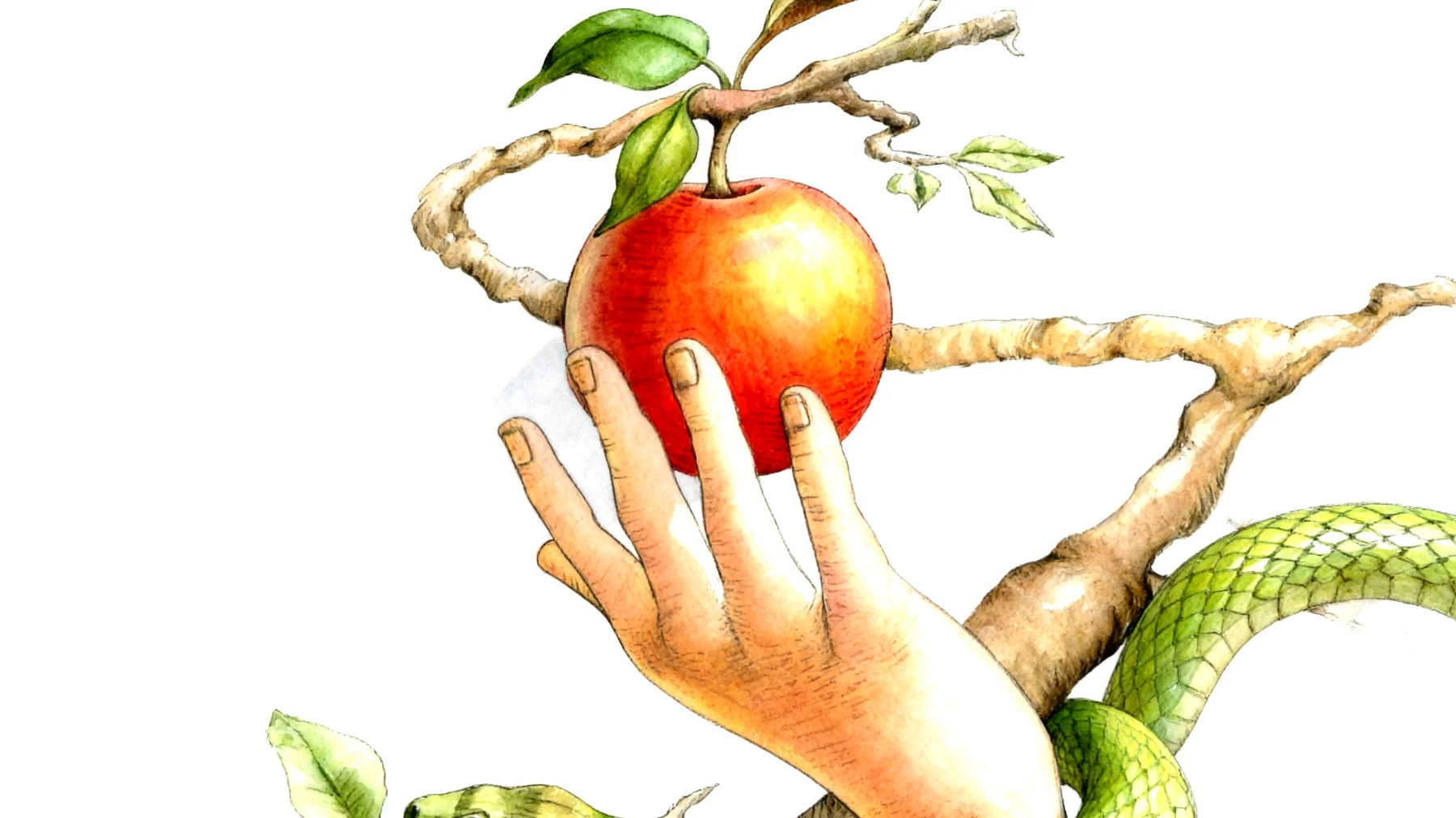 Forbidden Fruit2025-12-23T06:39:56.211Z"