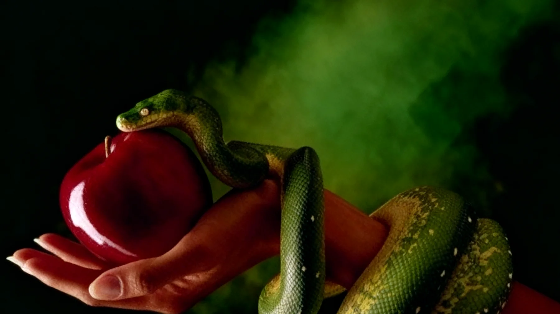 Forbidden Fruit2025-12-27T06:41:22.391Z"