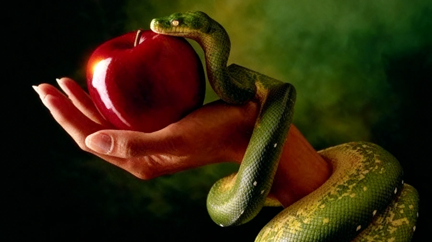 Forbidden Fruit2025-12-30T06:39:55.616Z"