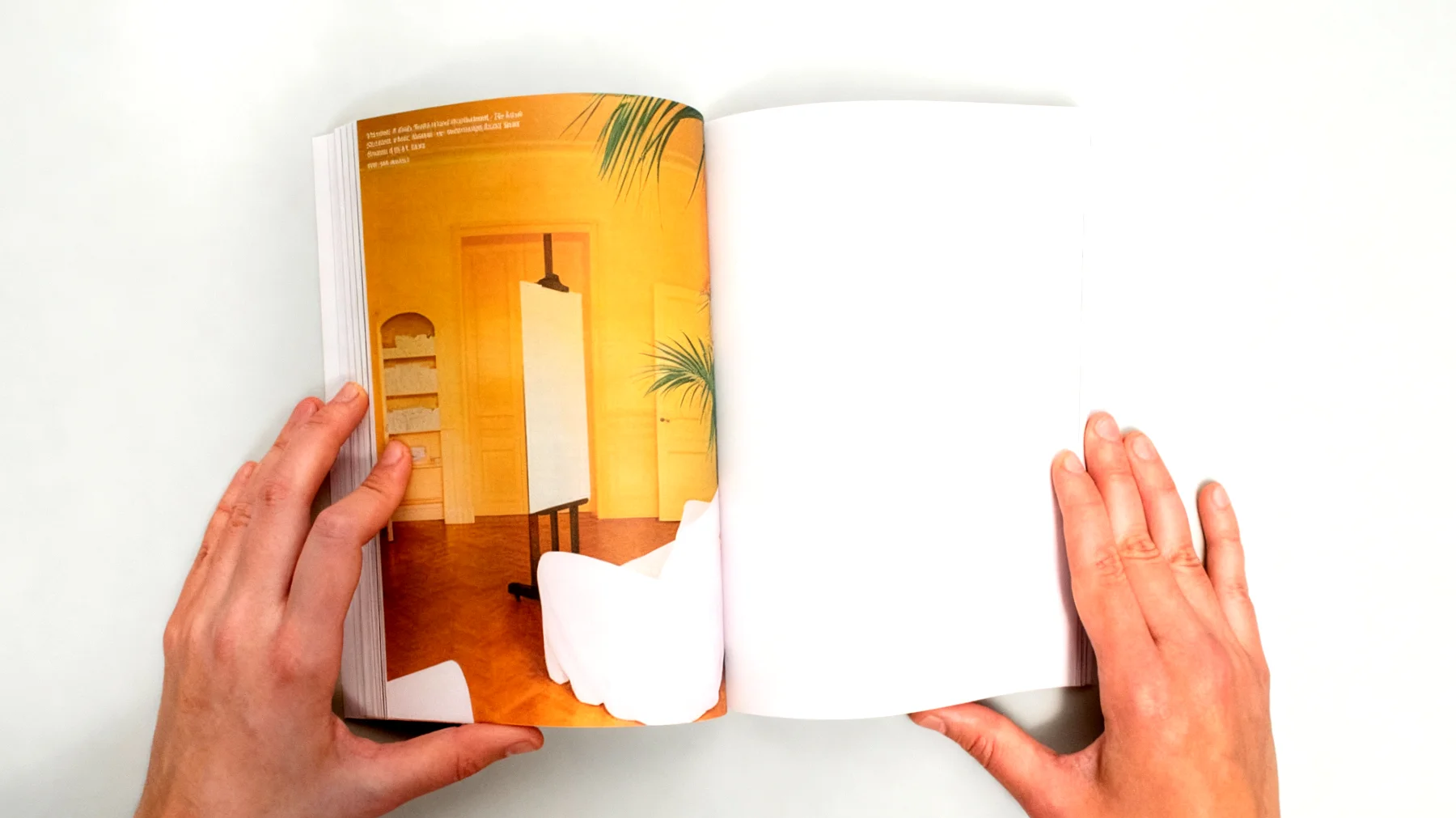 Un posto al sole 2025-12-15T06:35:33.626Z"