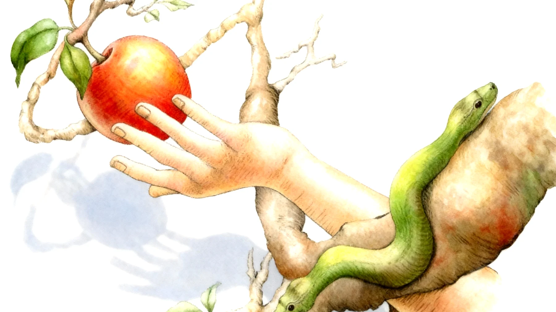 Forbidden Fruit2026-01-04T06:49:13.124Z"