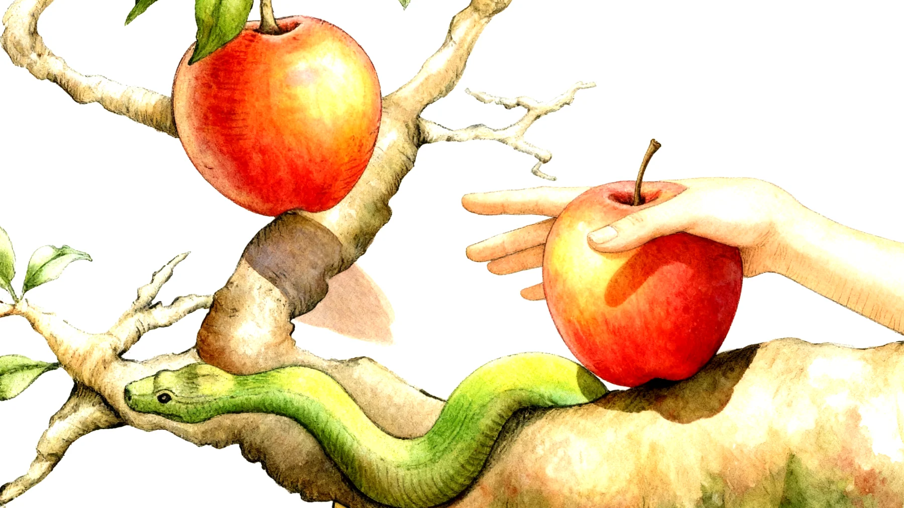 Forbidden Fruit2026-01-13T06:54:43.421Z"