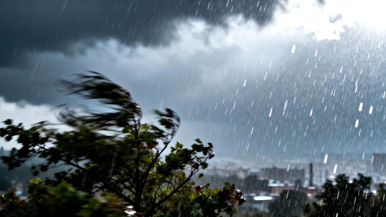 Meteo"
