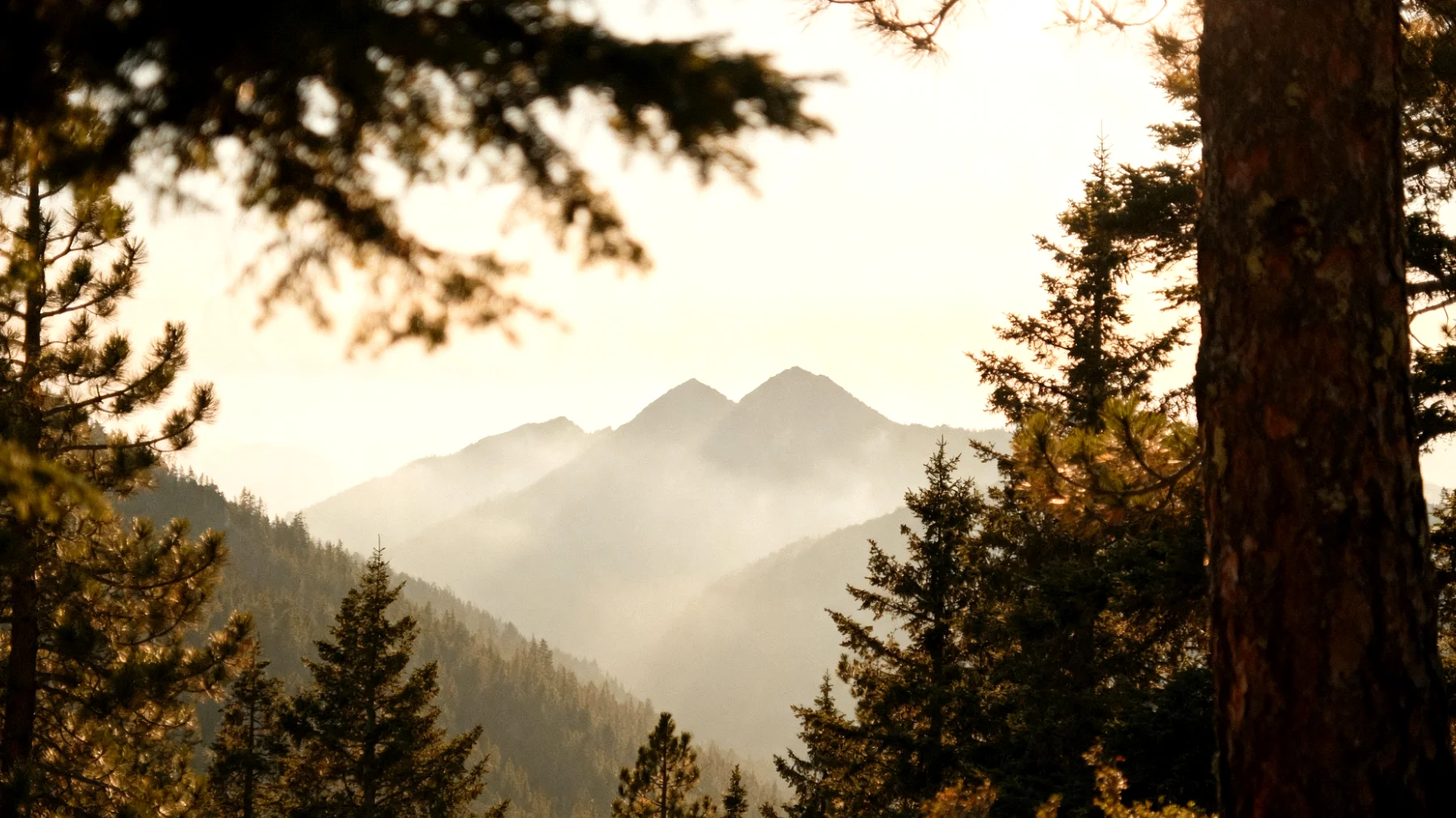 Parco Nazionale di Sutjeska"