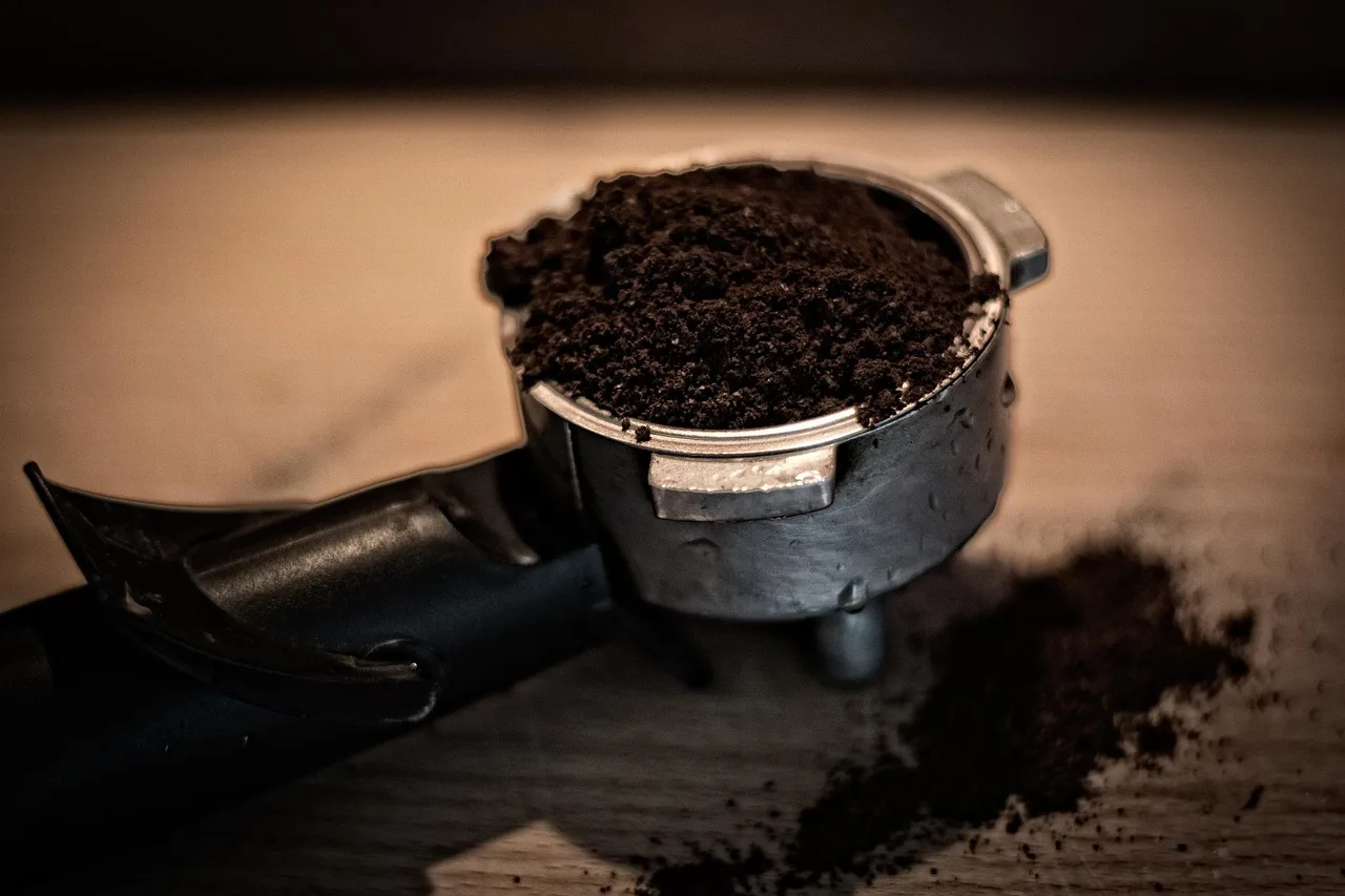 Butti via i fondi di caffè ogni mattina: stai buttando via il miglior fertilizzante gratuito per le tue piante2026-05-01T09:18:16.103Z"