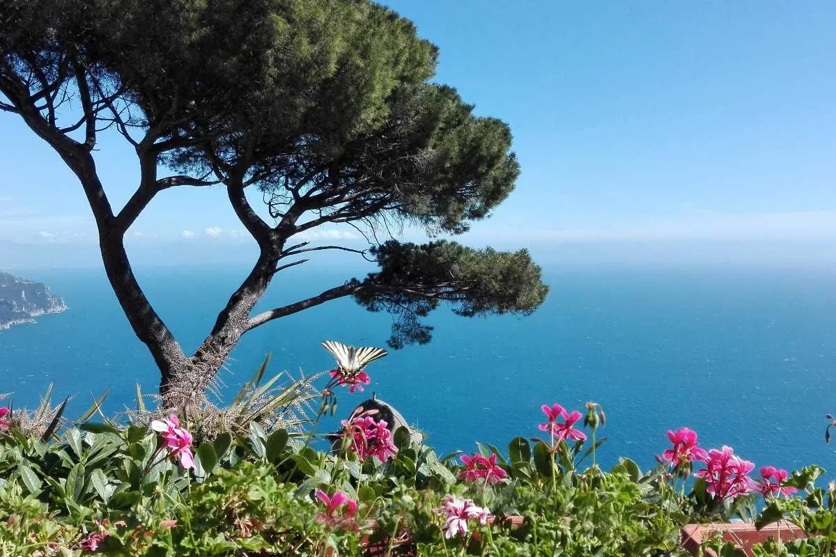 Le piante da balcone che fanno tornare le farfalle ogni giorno (e nessuno te lo dice mai)2026-05-01T11:34:38.246Z"